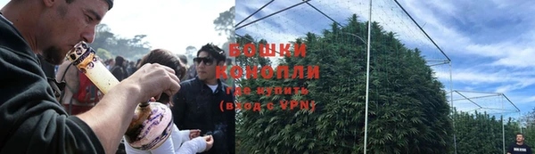 дурь Осташков