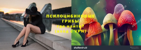 спайс Осинники