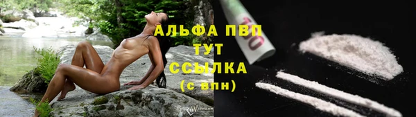 гидропоника Пересвет