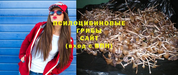 спайс Осинники