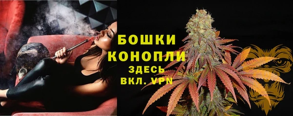 дурь Осташков